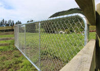 Dauerhaftes Kettenglied-Maschen-Zaun-Tor für Tierrotwild-Ranch-Einschließung